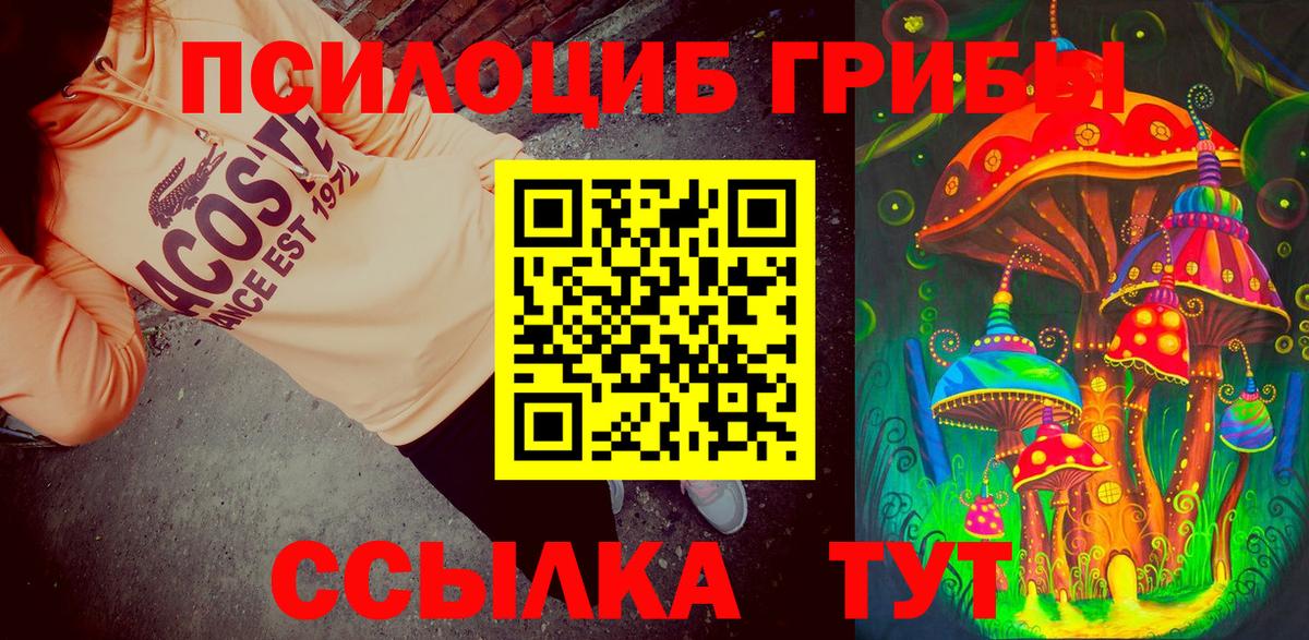 Псилоцибиновые грибы Psilocybine cubensis Прохладный
