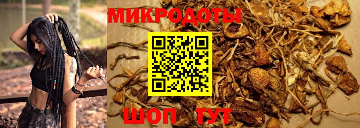 Галлюциногенные грибы мицелий  Вход с VPN  Прохладный 